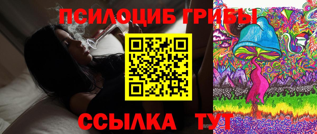 Галлюциногенные грибы Psilocybine cubensis Белогорск